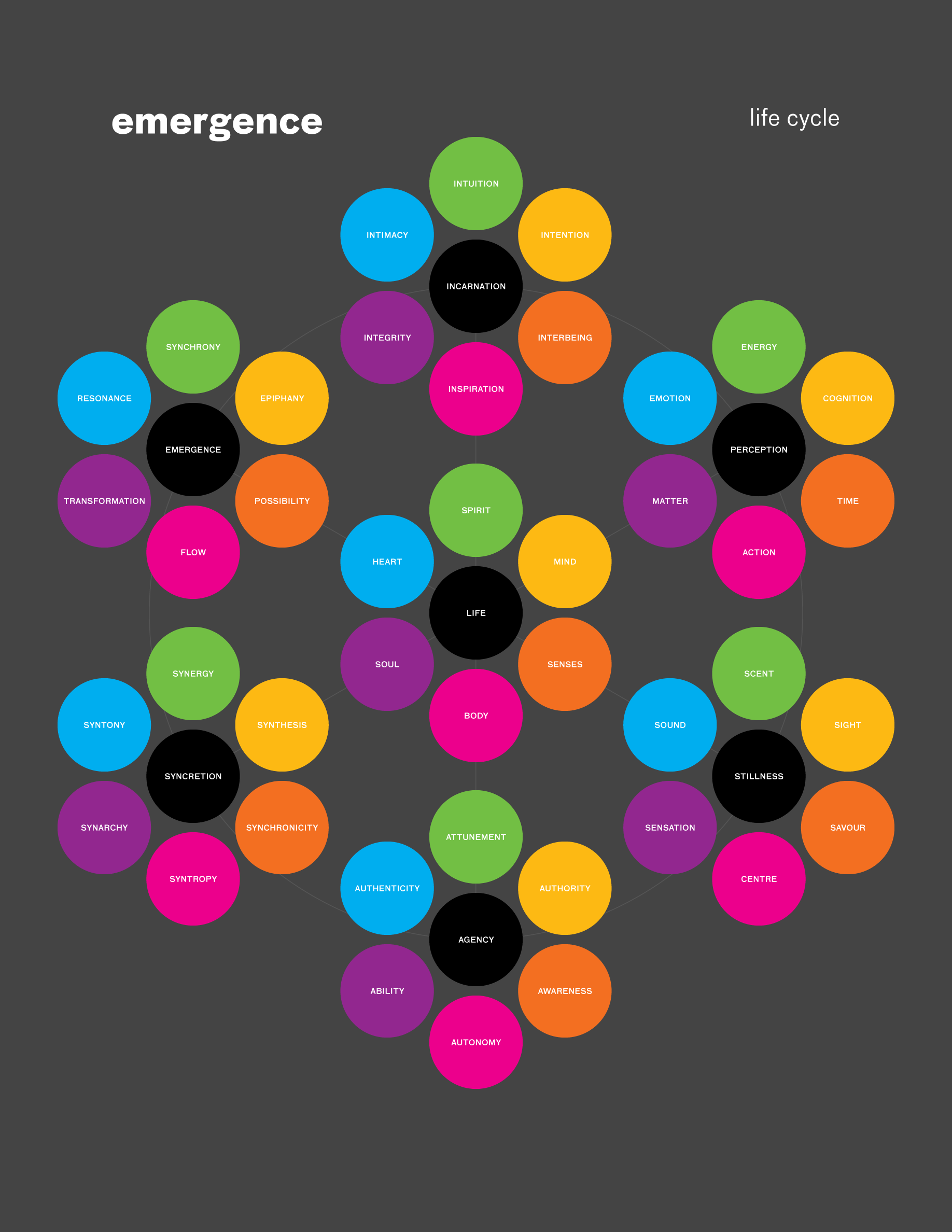 Cartographer of Emergence