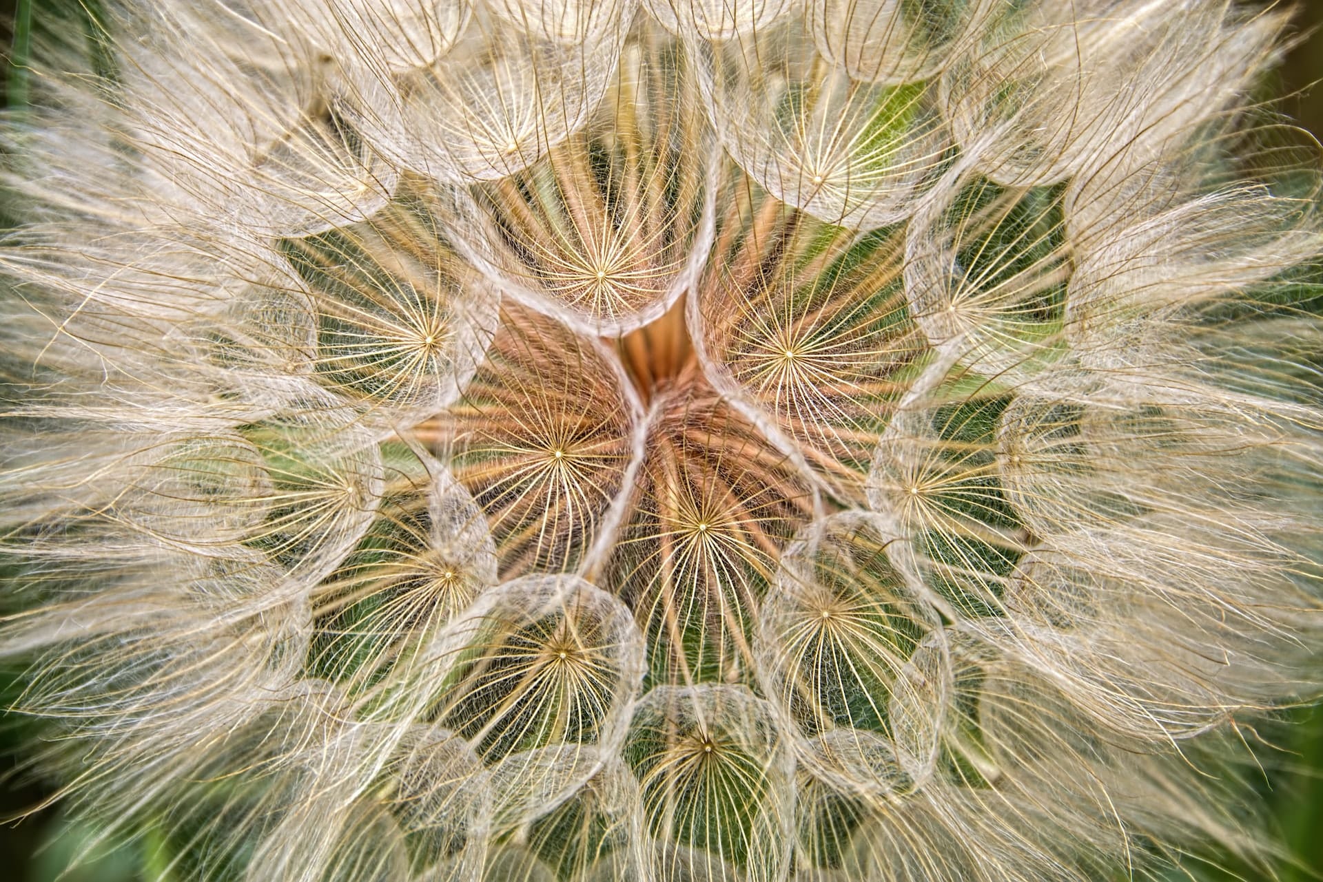 In Search of Soul