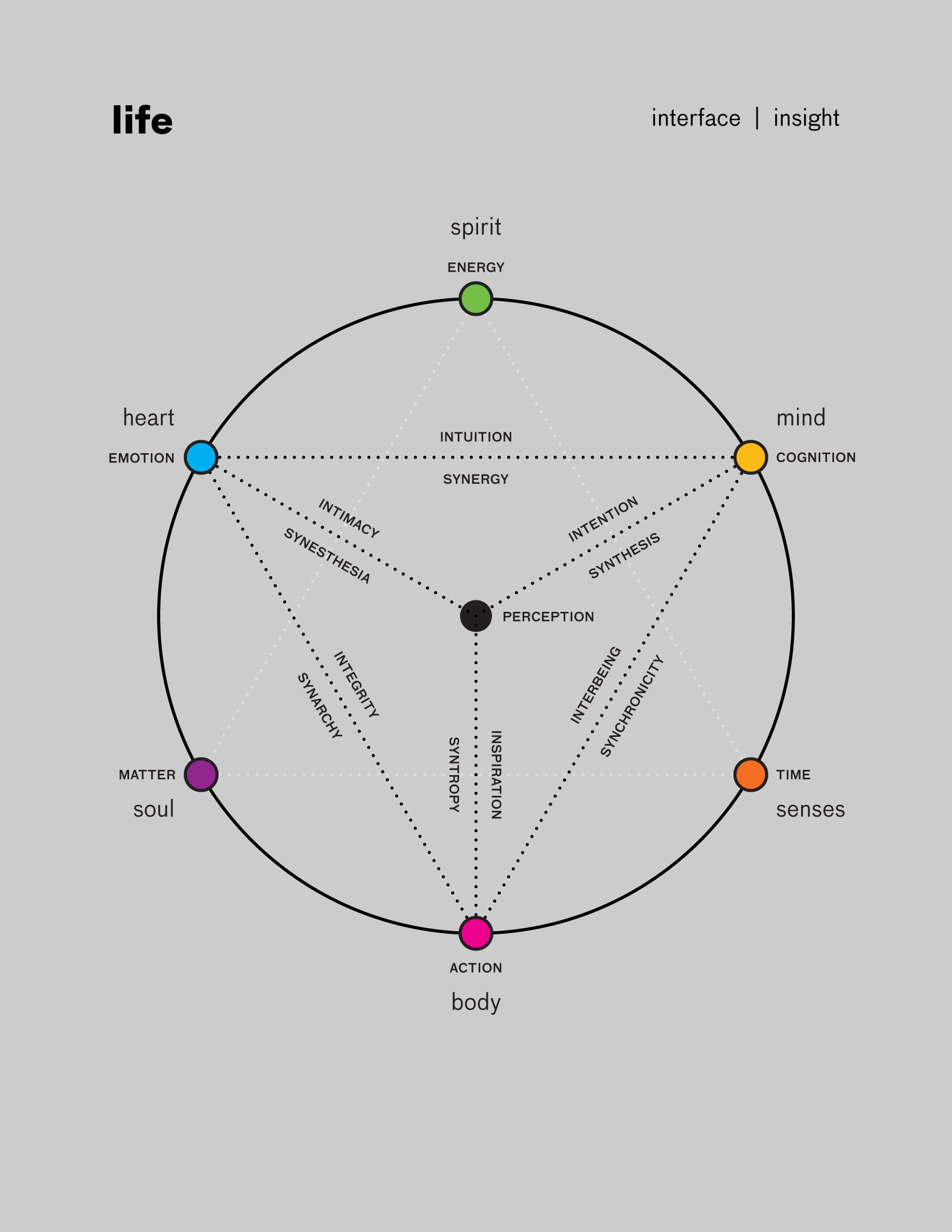 Life Cycle