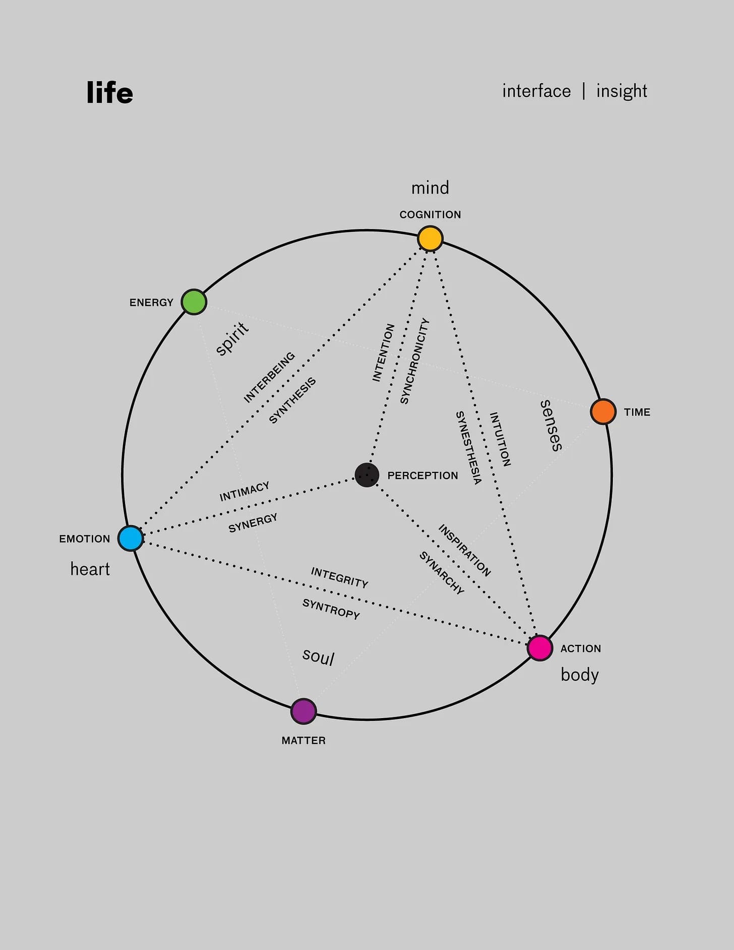 Life as an Interface